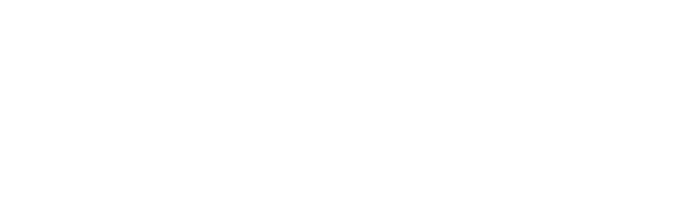 Andinos del Nevado