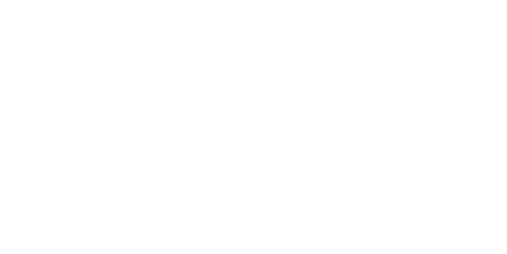 Andinos del Nevado